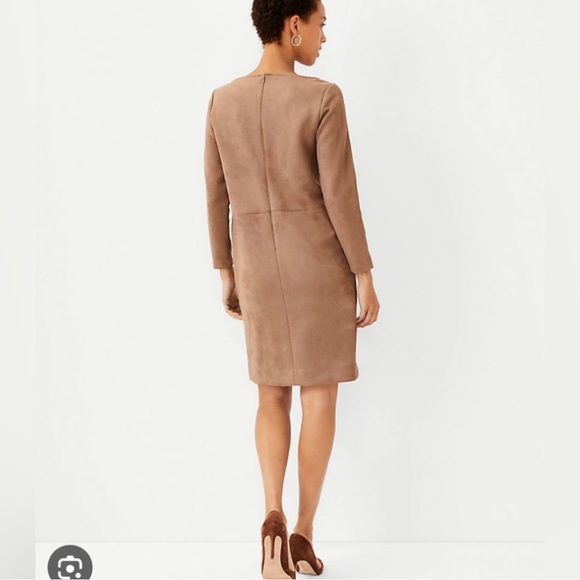 Ann Taylor faux suede shift dress size 12 NWOT - spring dress alert! - Picture 3 of 7